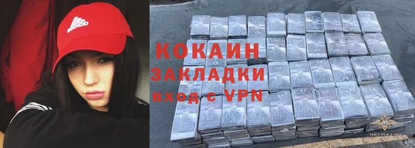 шишки Алзамай