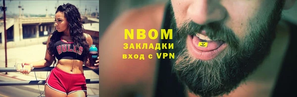 шишки Алзамай