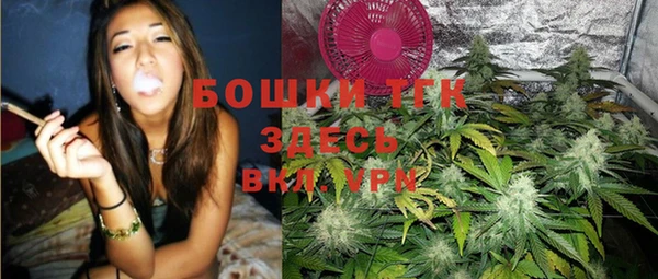 шишки Алзамай