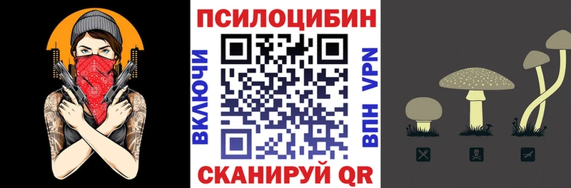 Псилоцибиновые грибы Psilocybine cubensis  Микунь 